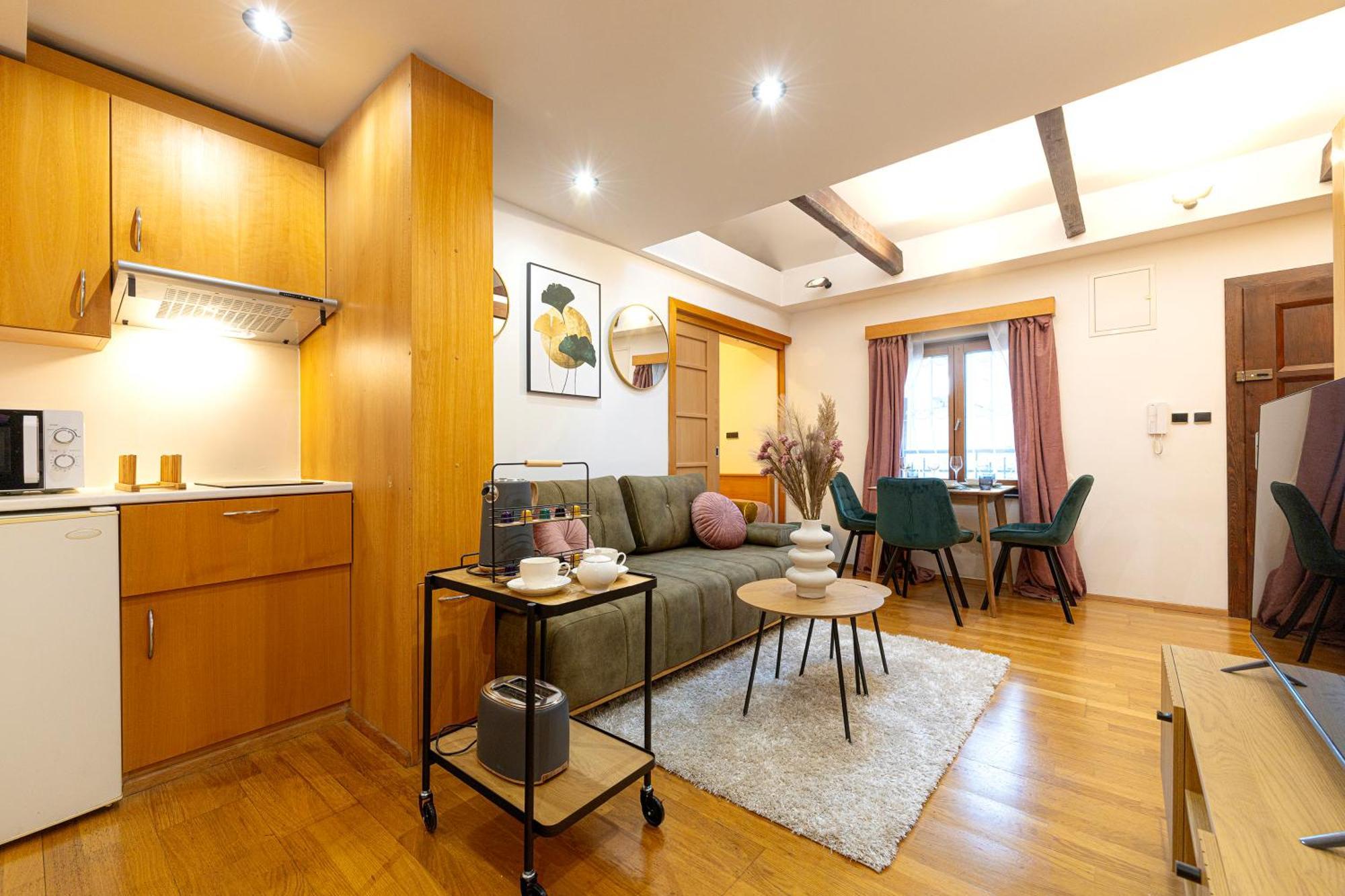 Apartament The Wenceslas Loft *